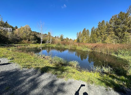 washington/everett/attraction/frog-rock-pond