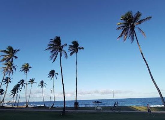 brazil/salvador/attraction/jardim-de-alah-beach