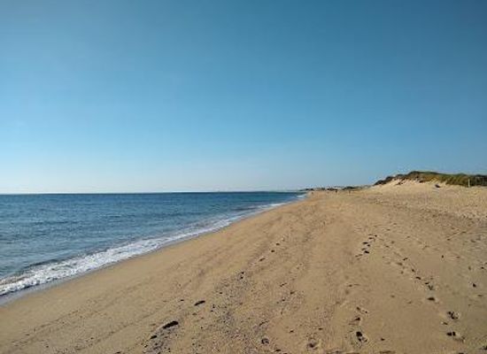 massachusetts/provincetown/attraction/herring-cove-beach