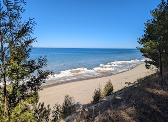 michigan/pere-marquette-state-forest/attraction/magoon-creek-natural-area