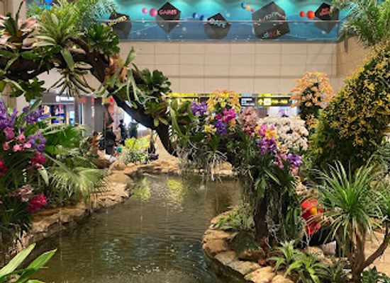 singapore/changi/attraction/sunflower-garden