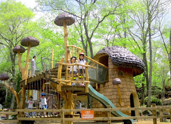 japan/kanto/attraction/karuizawa-toy-kingdom