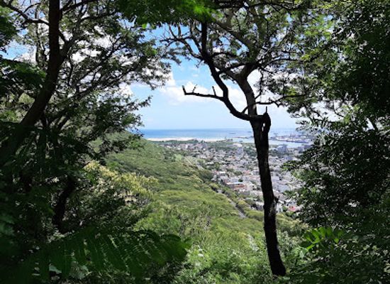 mauritius/pamplemousses/attraction/viewpoint-of-port-louis