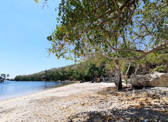 indonesia/pulau-moyo/attraction/freediving-sumbawa-tour-organizer-freediver-guide-wave-3