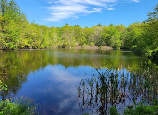 rhode-island/east-greenwich/attraction/frenchtown-park-and-frye-nature-preserve