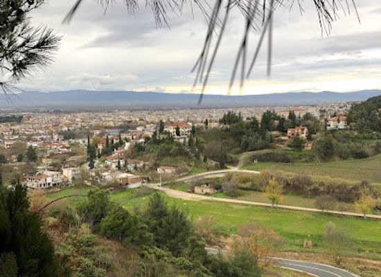 greece/serres/attraction/natural-history-museum