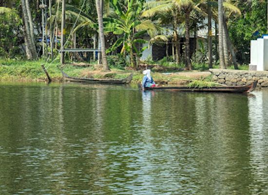 india/kerala-backwaters/attraction/backwater-boat-tour