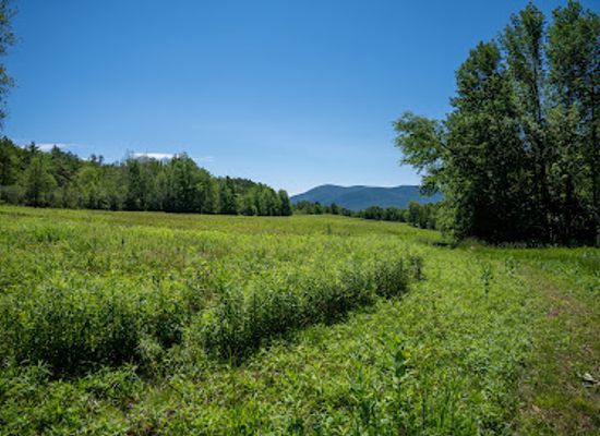 massachusetts/berkshires/attraction/mountain-meadow-preserve