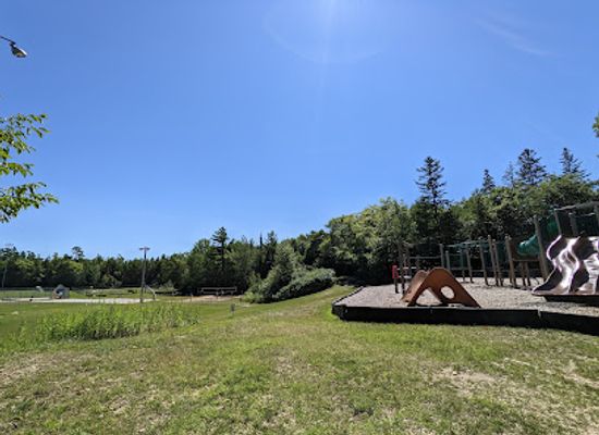 michigan/mackinac-island/attraction/great-turtle-park