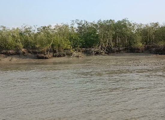 bangladesh/sundarbans/attraction/baro-chilmari