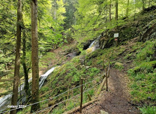 france/vosges-mountains/attraction/cascade-du-seebach