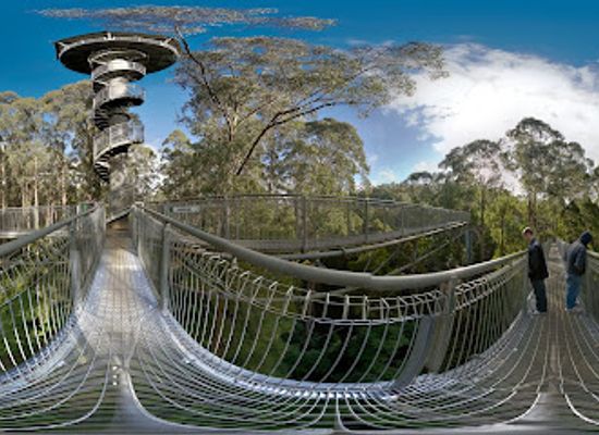 australia/high-country/attraction/otway-fly-treetop-adventures
