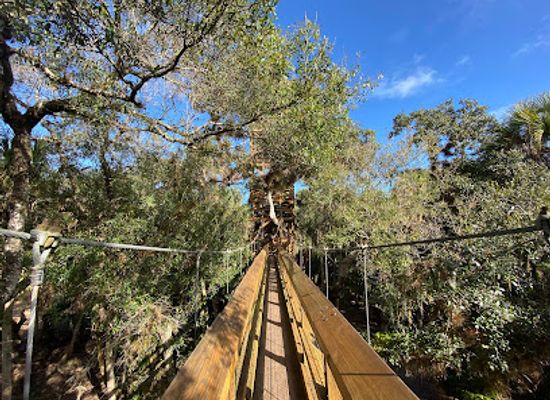 florida/southeast-florida/attraction/myakka-canopy-walkway-and-observation-tower
