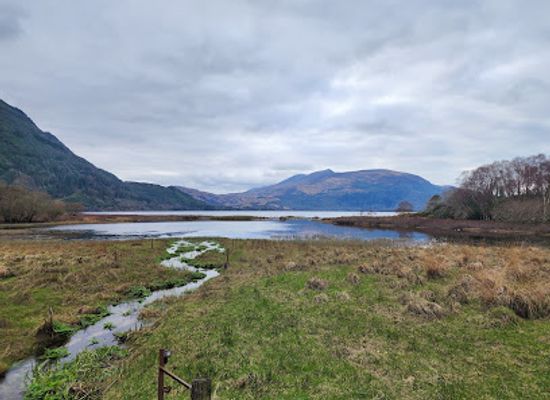 ireland/the-kerry-way/attraction/killarney-national-park-visitor-centre