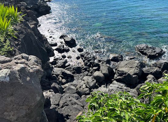 mauritius/flic-en-flac-beach/attraction/ocean-public-access-avenue-des-baleines