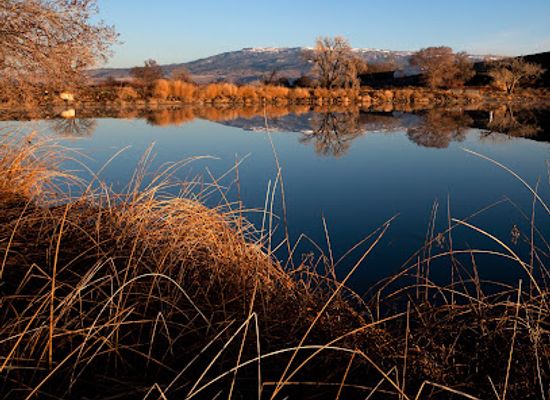 colorado/delta/attraction/sweitzer-lake-state-park