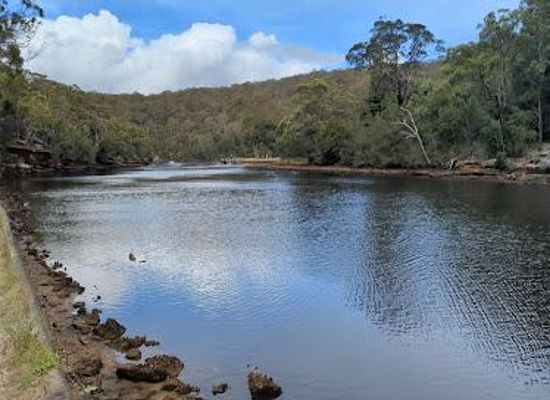 australia/sydney/attraction/audley