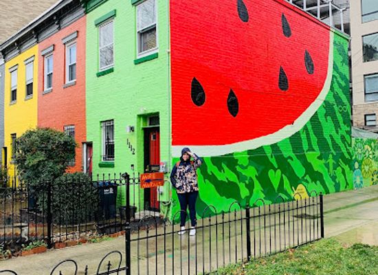 maryland/capital-region/attraction/watermelon-house
