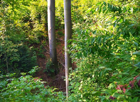 czechia/moravian-karst/attraction/mala-macocha