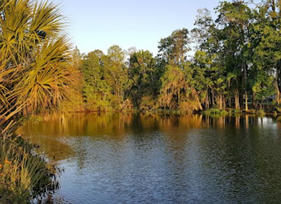 florida/crystal-river/attraction/churchhouse-hammock-trail