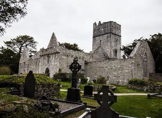 ireland/killarney/attraction/muckross-abbey