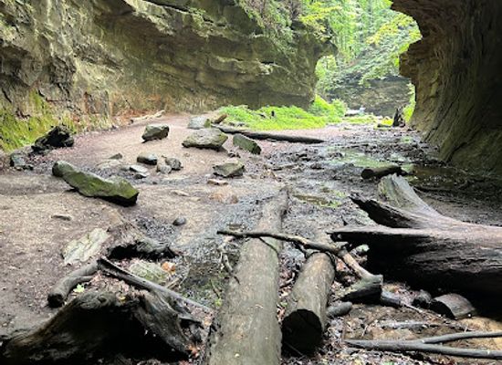 indiana/the-tipton-till-plain/attraction/rocky-hollow-falls-canyon-nature-preserve