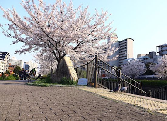 japan/harima/attraction/ikutagawa-park