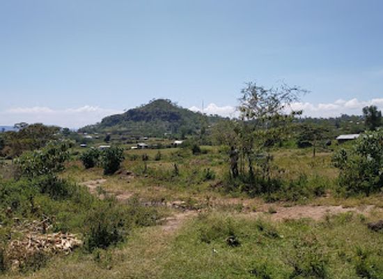 kenya/lake-nakuru-national-park/attraction/mlima-ugali-hill