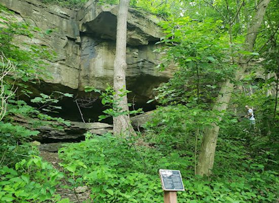 west-virginia/morgantown/attraction/core-arboretum