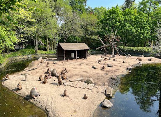 netherlands/utrechtse-heuvelrug/attraction/snavelrijk
