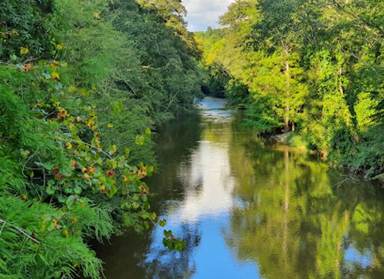 mississippi/tishomingo-state-park/attraction/swinging-bridge