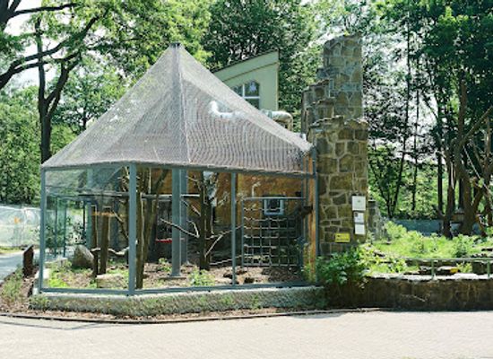 poland/greater-poland/attraction/lodz-zoo