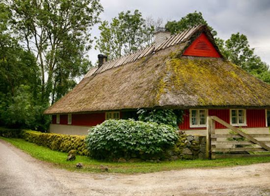 estonia/saaremaa/attraction/muhu-ostrich-ltd
