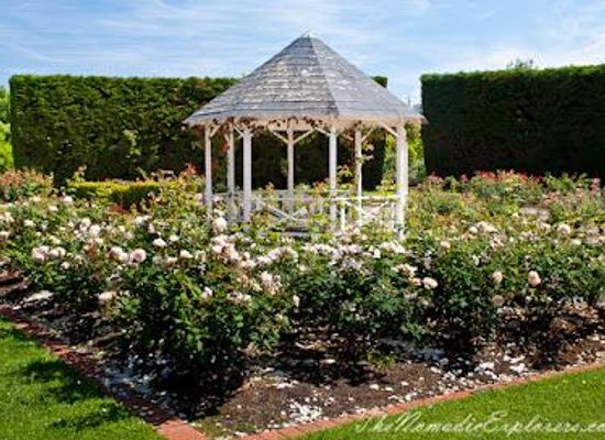 australia/melbourne/attraction/st-kilda-botanical-gardens
