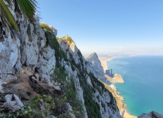 gibraltar/little-bay/attraction/gibraltar-s-forest
