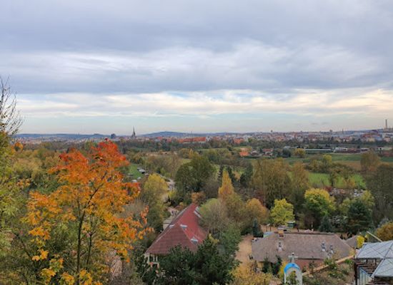 czechia/west-bohemia/attraction/dinopark-plzen