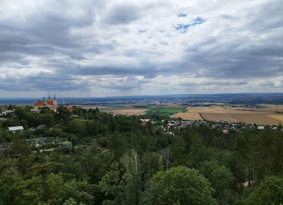 czechia/olomouc/attraction/zoo-olomouc