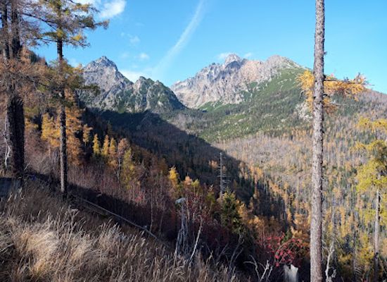 slovakia/tatras/attraction/ladovy-dom