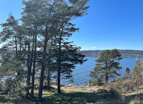norway/ostfold/attraction/edvard-munchs-villa