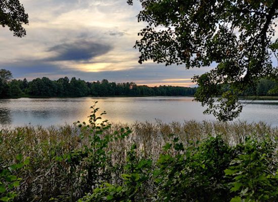 estonia/polvamaa/attraction/kiidjarve-park