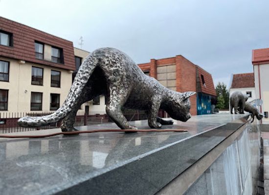 lithuania/marijampole/attraction/wall-of-cats