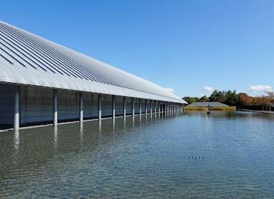 japan/kyoto/attraction/sagawa-art-museum