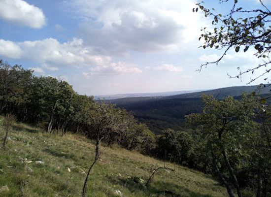 hungary/veszprem/attraction/panorama-tisztas