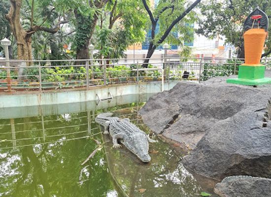 india/bengaluru/jayanagar/attraction/lovers-park