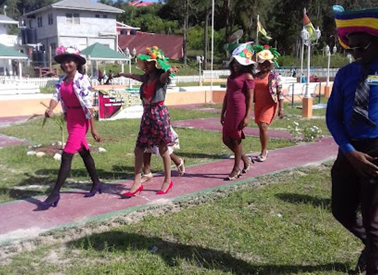 guyana/bartica/attraction/green-park