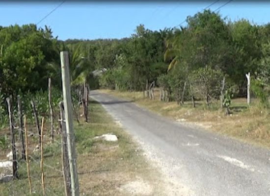 jamaica/cornwall-county/attraction/amber-rock-park