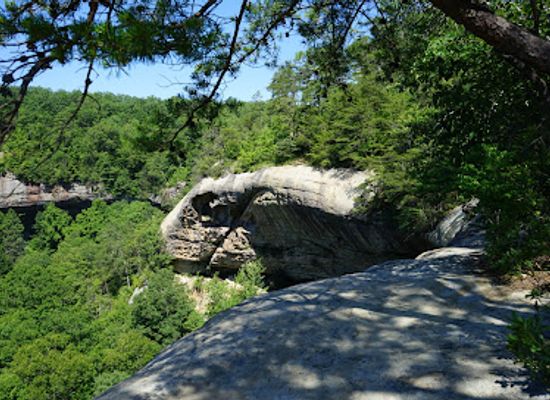 kentucky/sheltowee-trace-national-recreation-trail/attraction/bison-way-trailhead