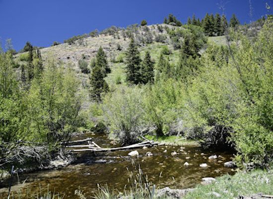 utah/bear-lake/attraction/minnetonka-cave