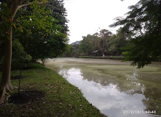 india/manipur/attraction/manipur-zoological-garden-sangai-dancing-deer-habitat-imphal-west-district-manipur-india