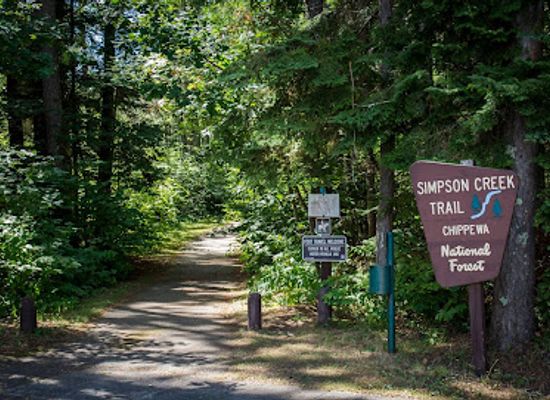 minnesota/big-woods/attraction/chippewa-national-forest